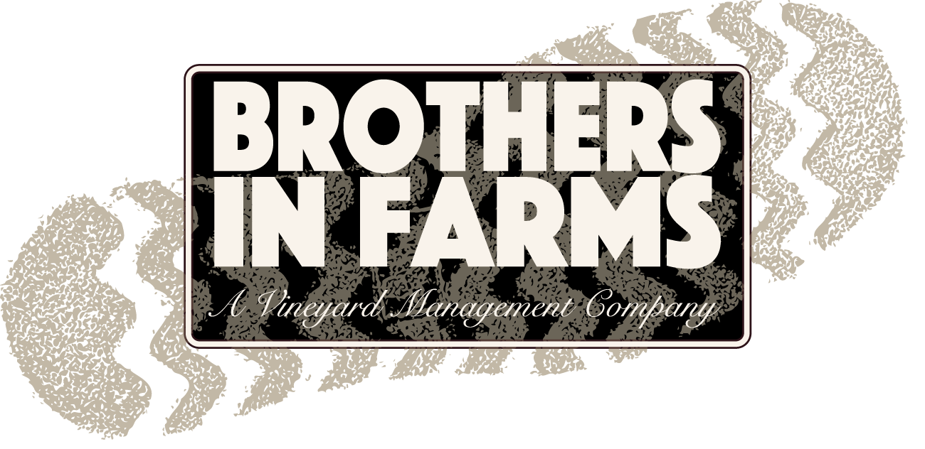 Brothers In Farms