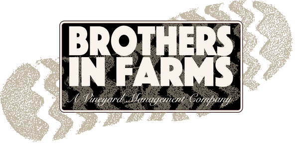Brothers In Farms